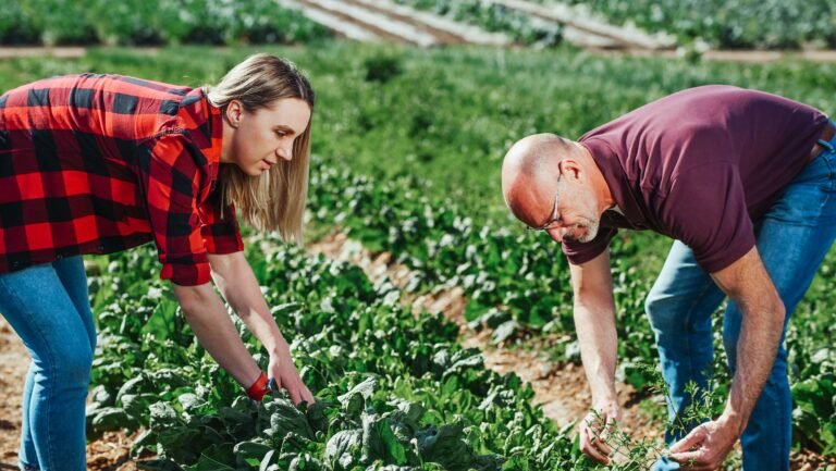 Farm worker jobs